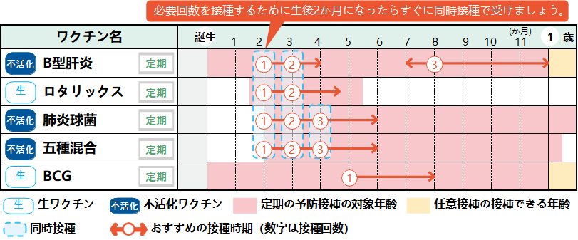 生後2ヶ月のスケジュール