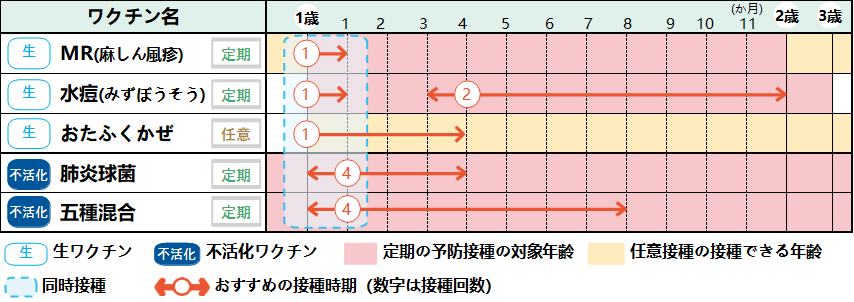 1歳からのスケジュール